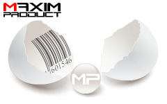 Maxim Media.com-Flash Design